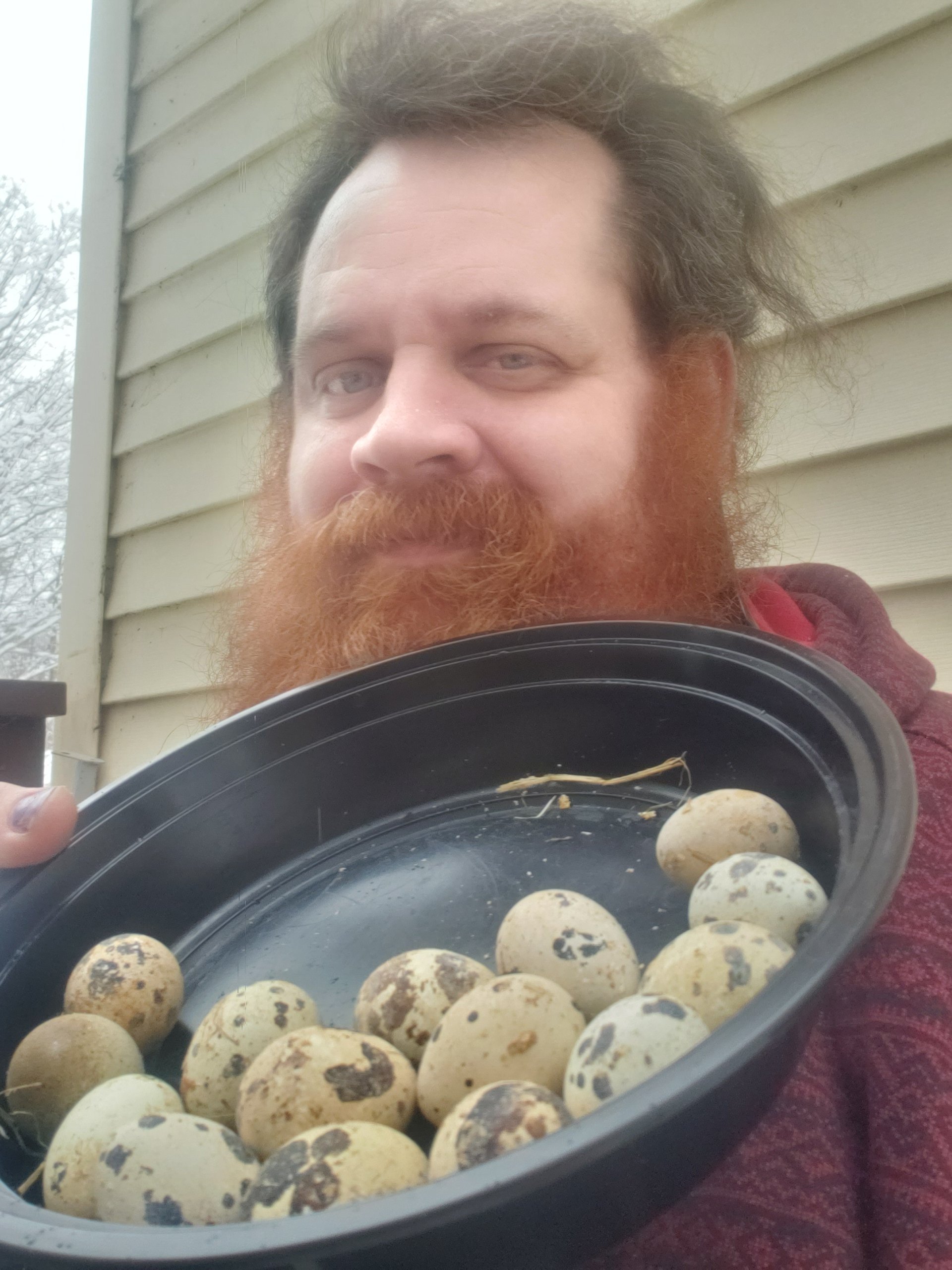 Quail eggs on Farmish