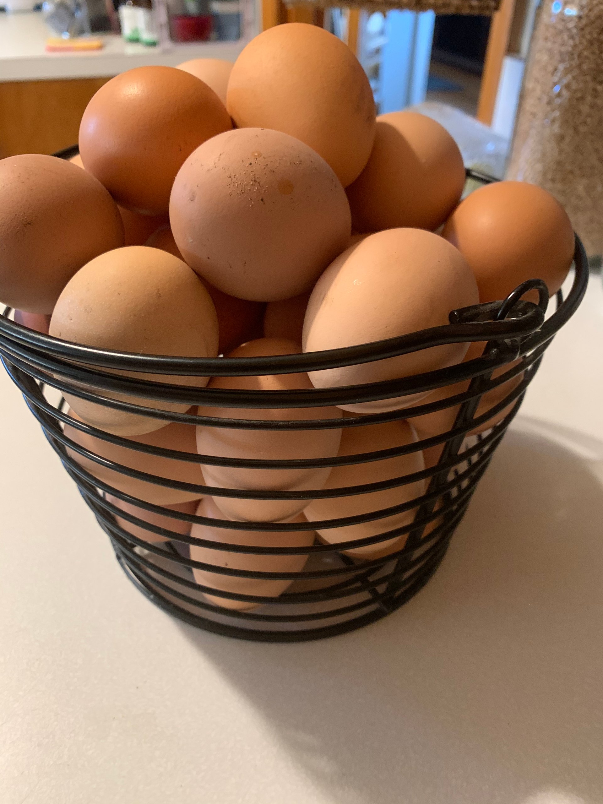 Fresh Unwashed Free Range Eggs on Farmish