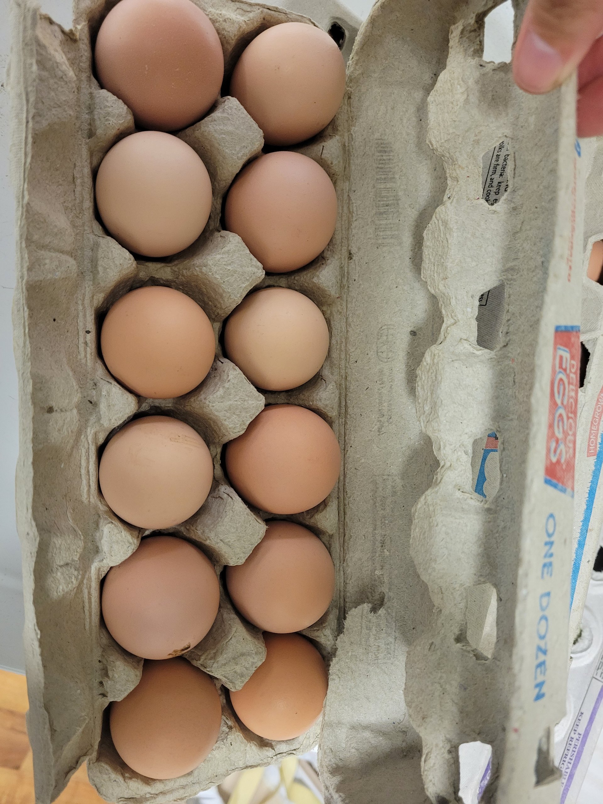 Farm fresh unwashed eggs on Farmish
