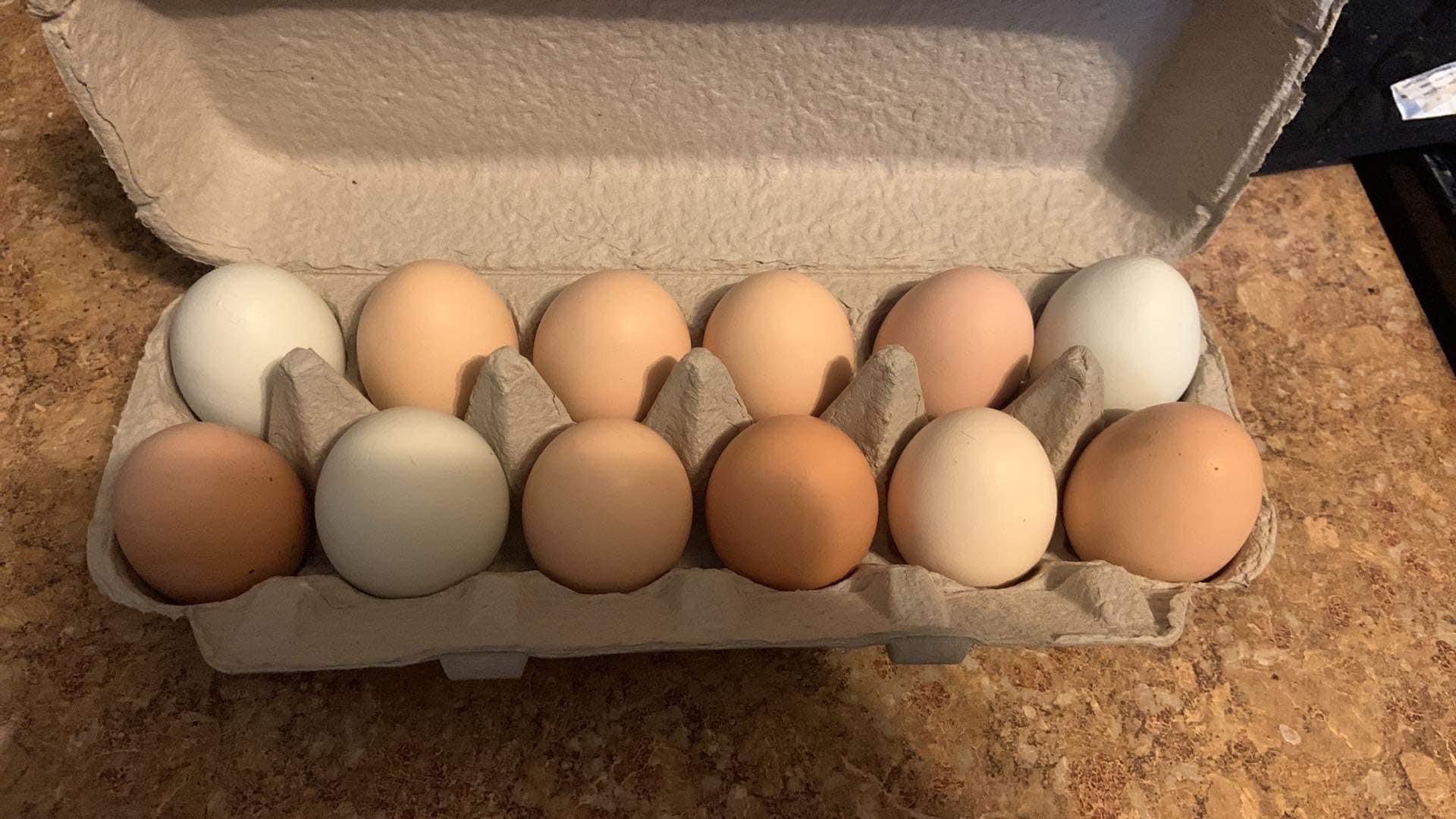 Farm Fresh Chicken Eggs on Farmish