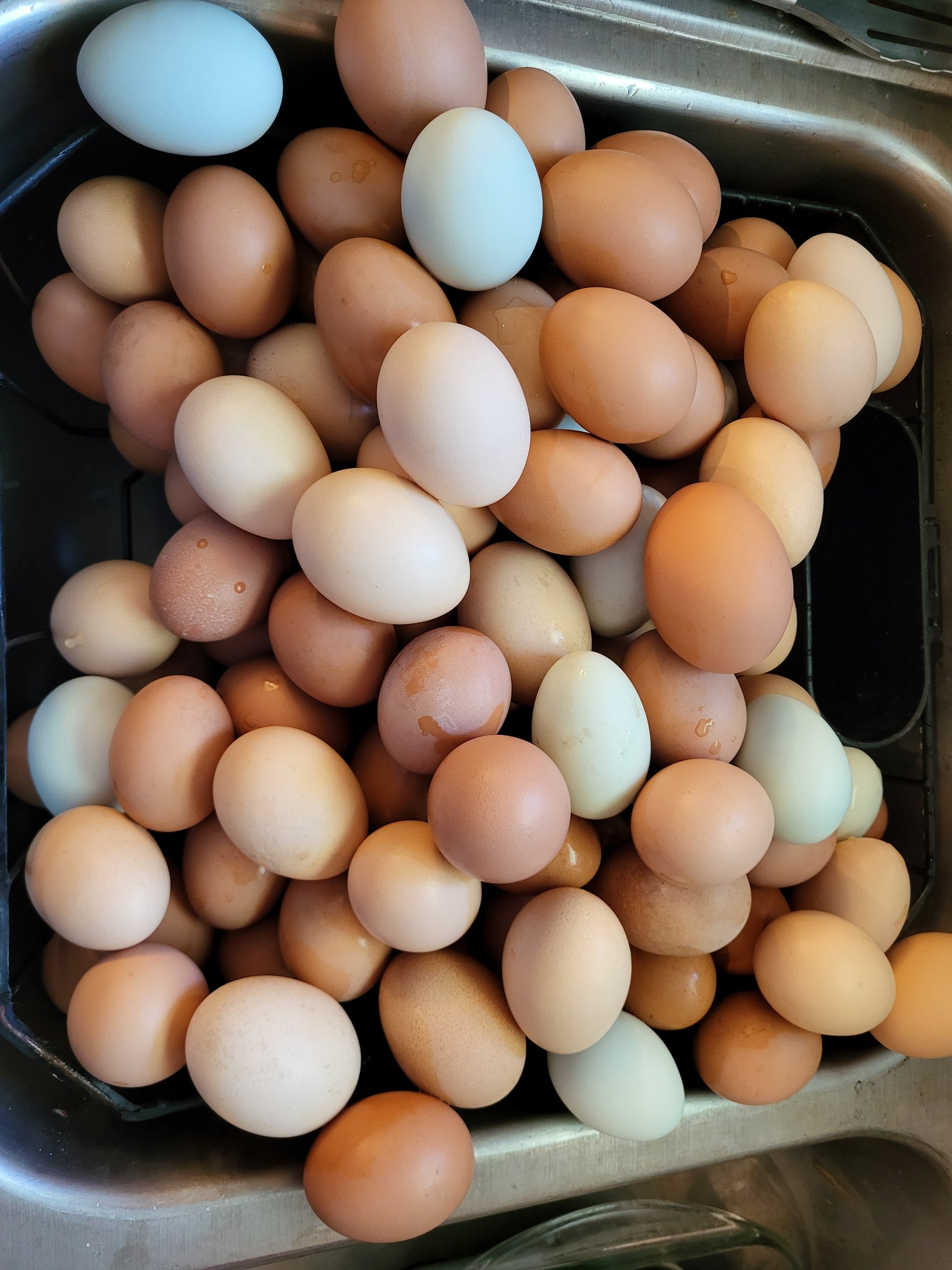 Non Gmo Pastured Eggs on Farmish
