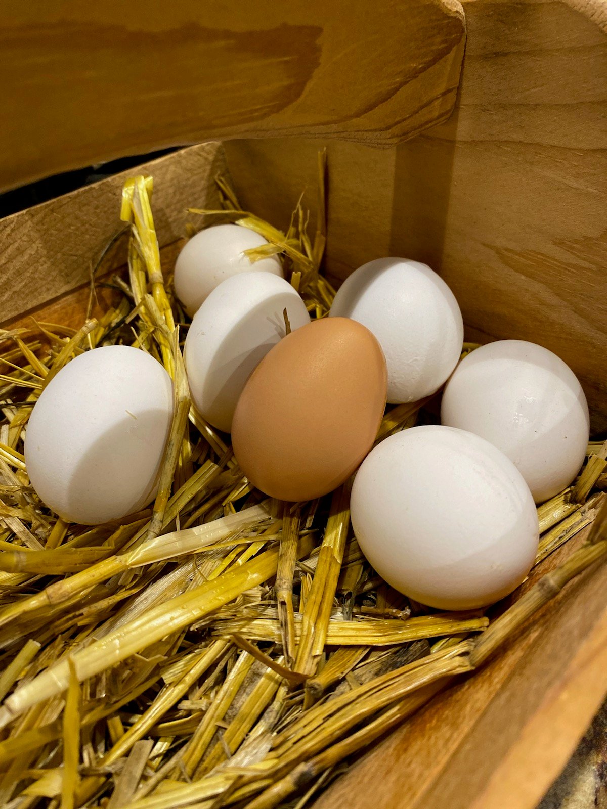 fresh-unwashed-chicken-eggs-sold-by-the-dozen-on-farmish