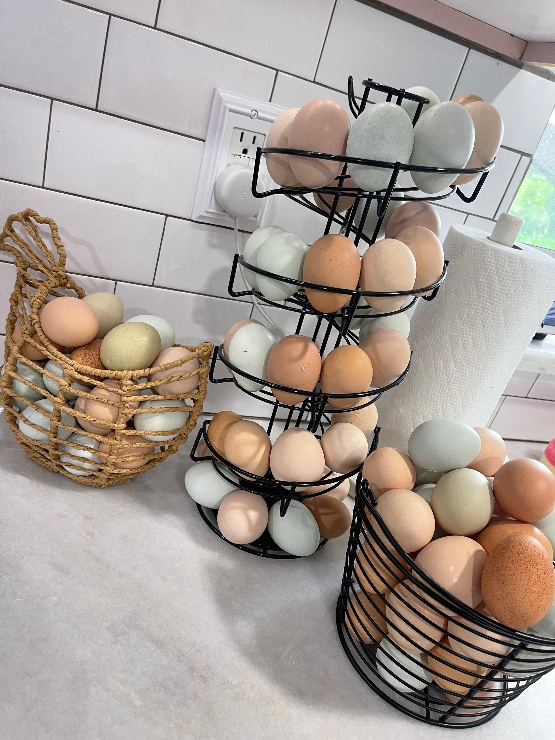 Farm Fresh Organic Eggs on Farmish