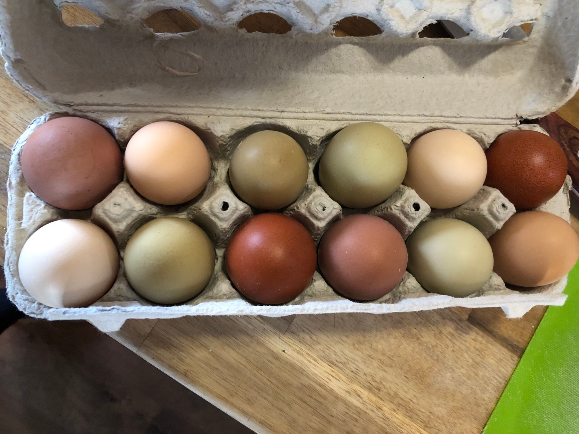 Pastured Chicken Eggs on Farmish