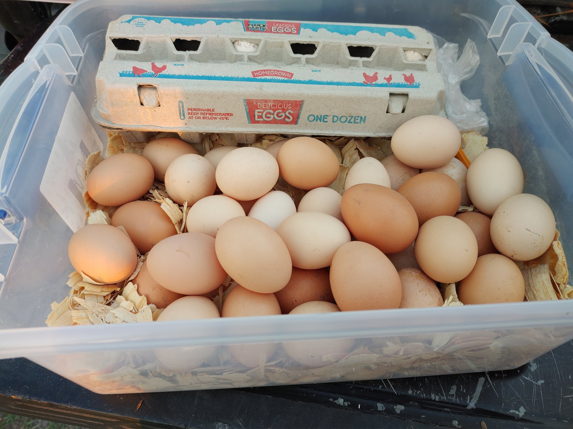 SOY FREE EGGS on Farmish