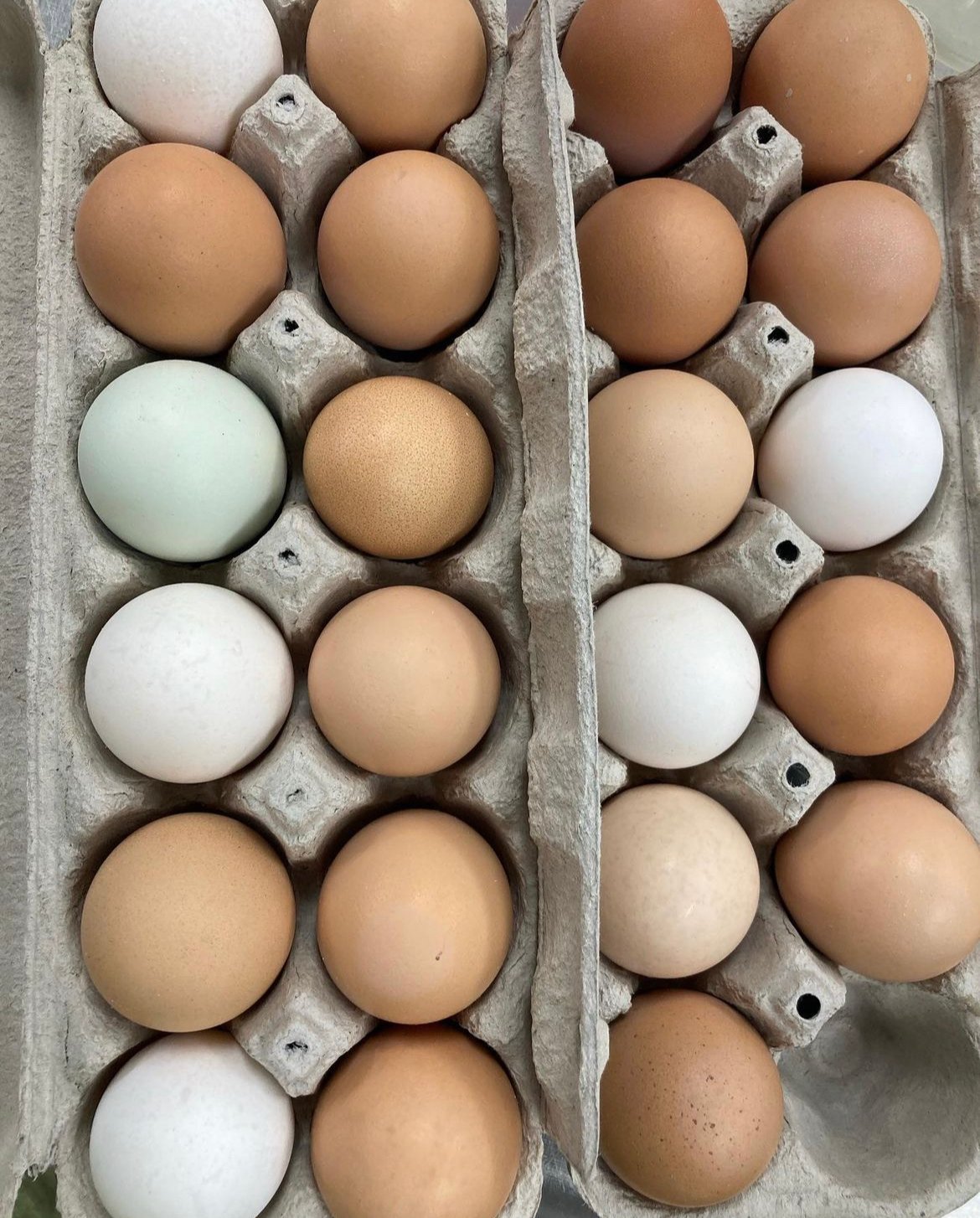 Non GMO chicken eggs on Farmish