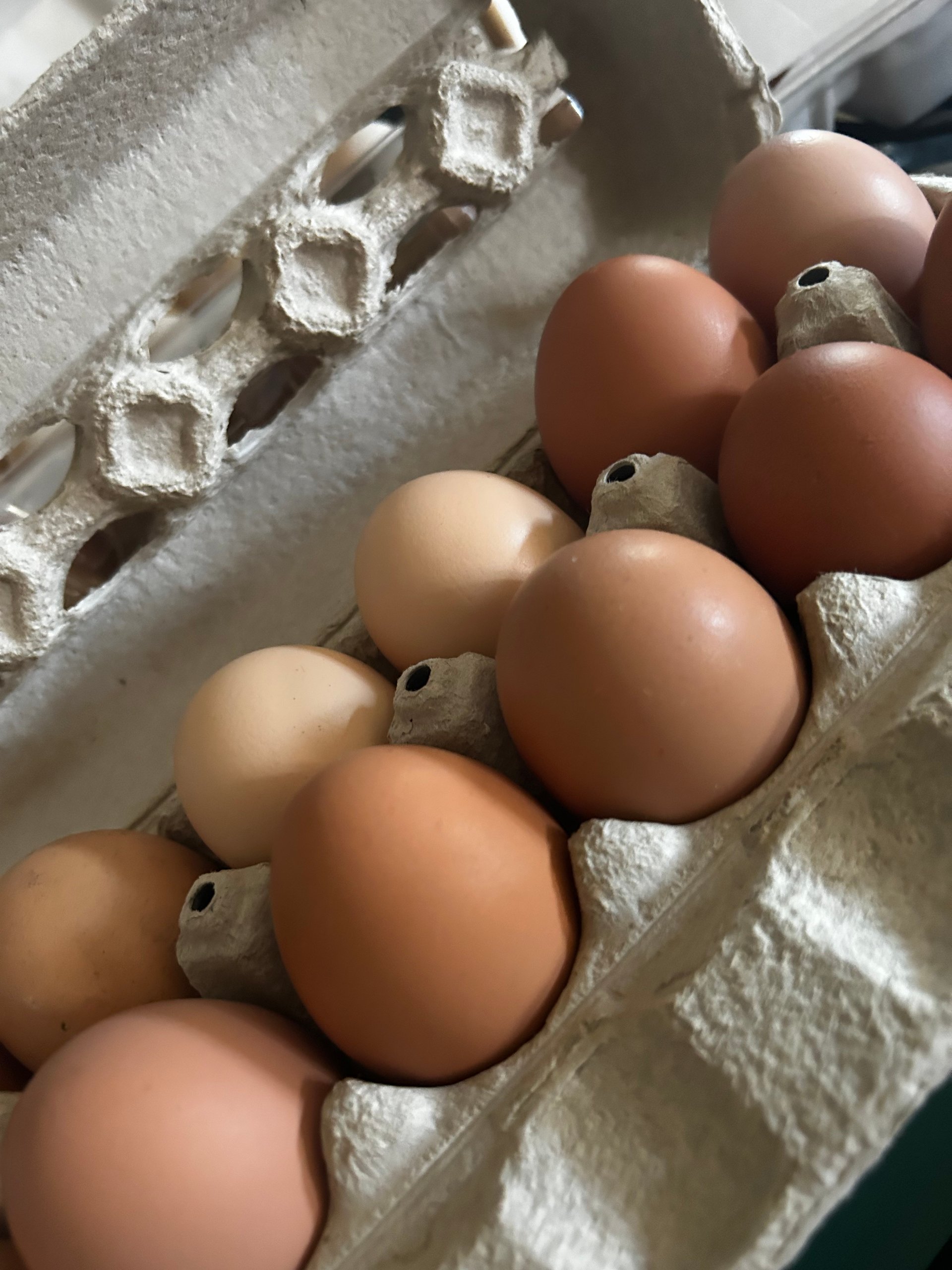 Unwashed eggs on Farmish